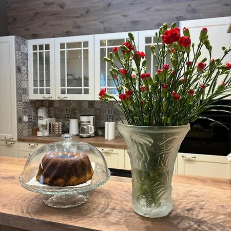 Apartament Dagmar Buresove